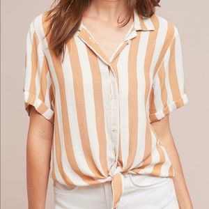 Short sleeve button down